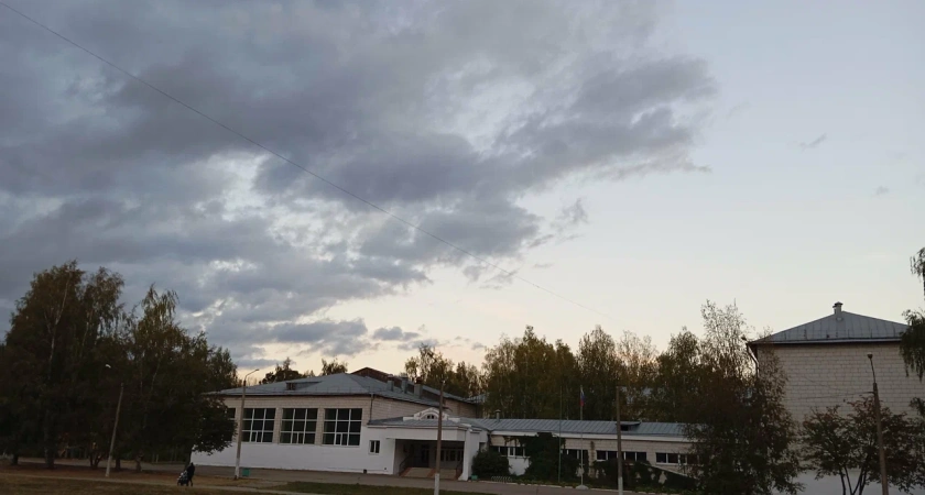 Драка в гимназии №15 Костромы и инструкция для родителей: как увидеть травлю до того, как станет поздно