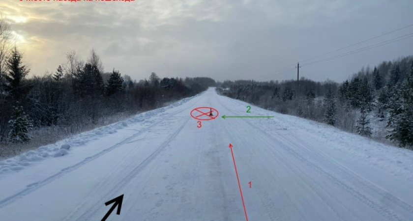 В Костромской области 63-летняя женщина оказалась под колесами Renault