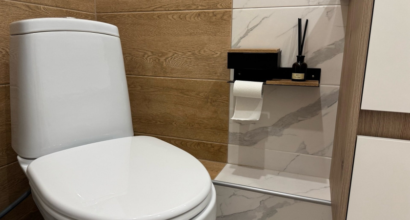 Японцы садятся на унитаз лицом вперед - и вот почему: причина поражает, но логика в этом есть