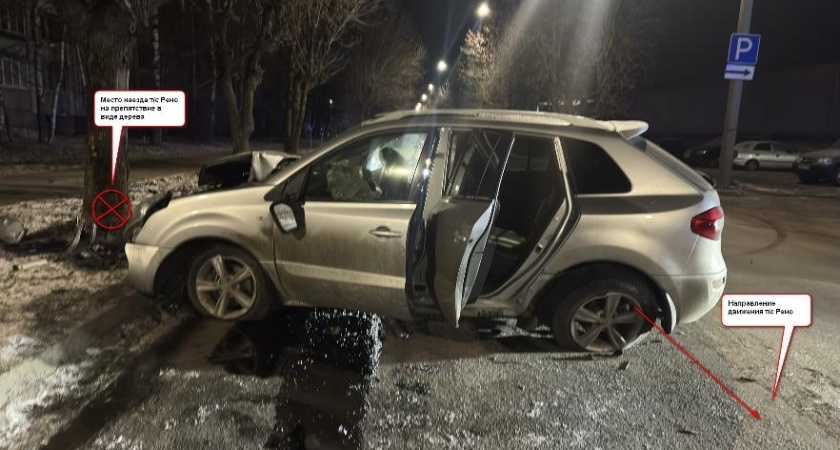 В Костроме на улице Шагова Renault врезался в дерево: есть пострадавшие