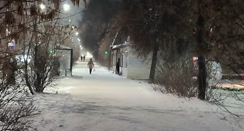 Костромичи могут остаться без снега на Новый год