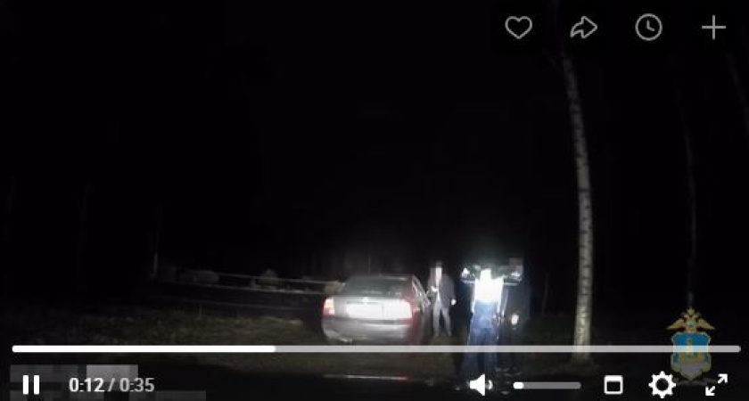 В Костромской области задержан пьяный водитель, пытавшийся скрыться в лесу