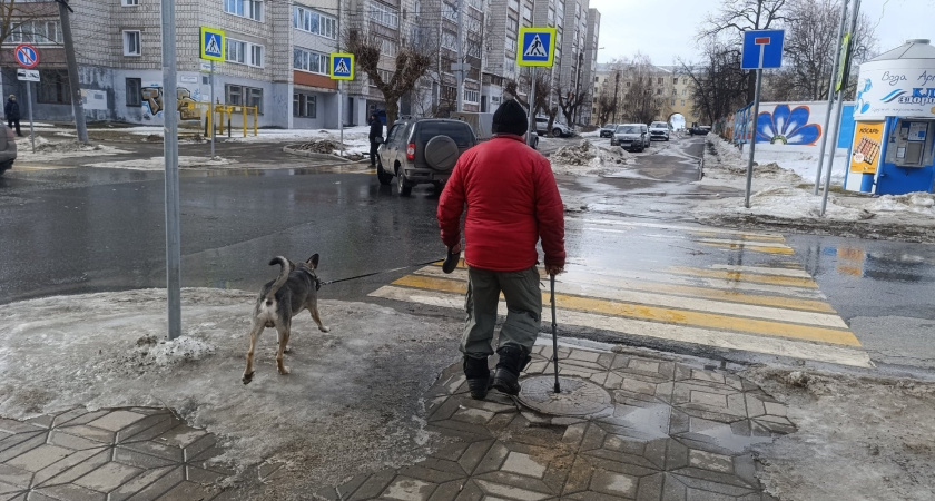 Вступить на "зебру" недостаточно: как теперь водители обязаны уступать дорогу пешеходу - автоюрист поставил точку