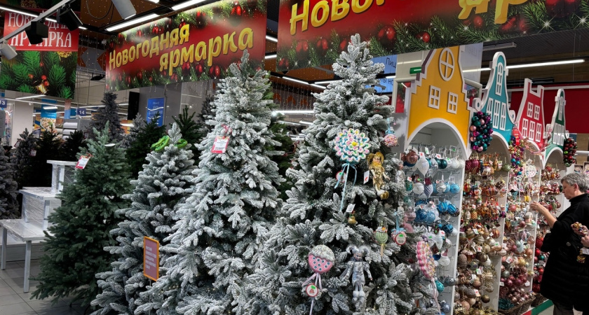 В Костроме открылись четыре точки продажи елок
