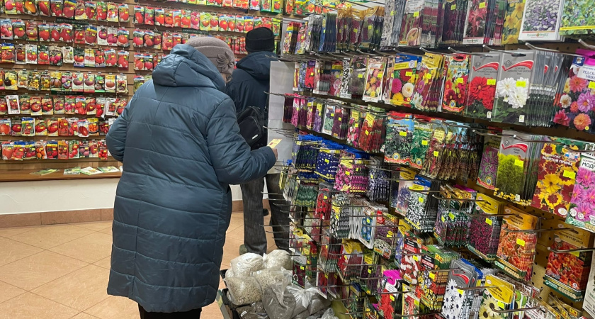 Посадила и прыгала от счастья - 3 сорта томатов, которые порадуют каждого дачника. Они в "белом" списке