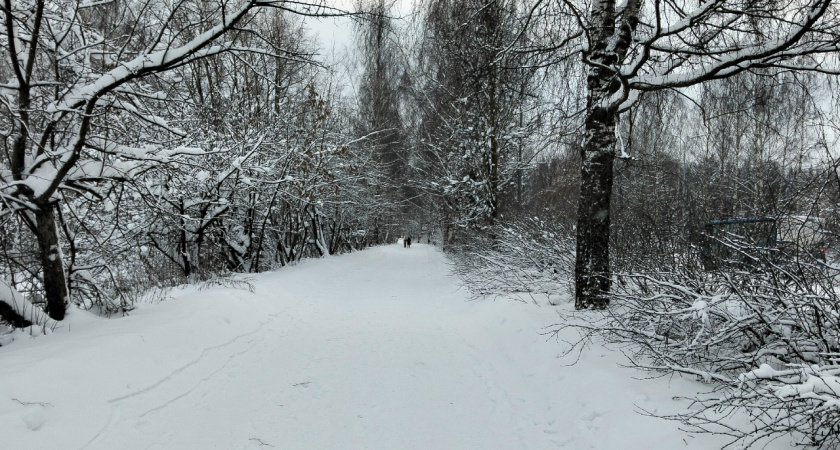 В Костромской области появились три новых заповедника