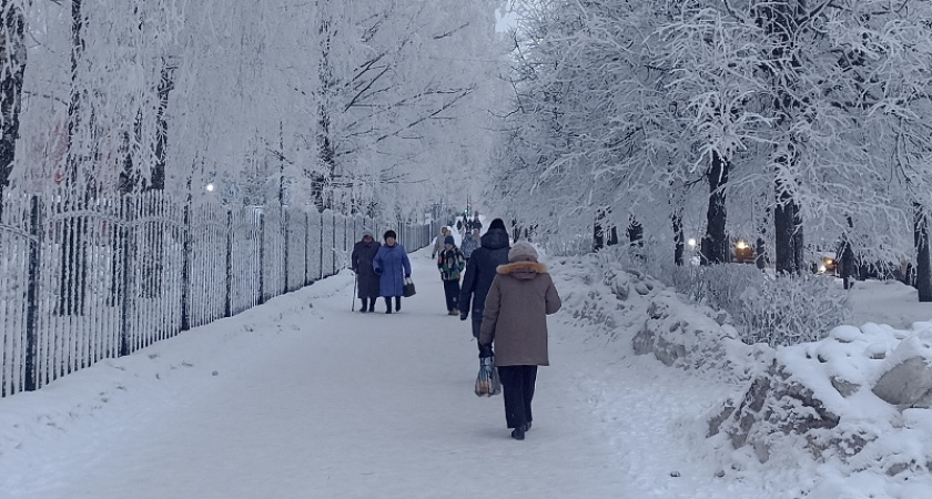 В понедельник в Костромской области может подморозить до минус 19 градусов