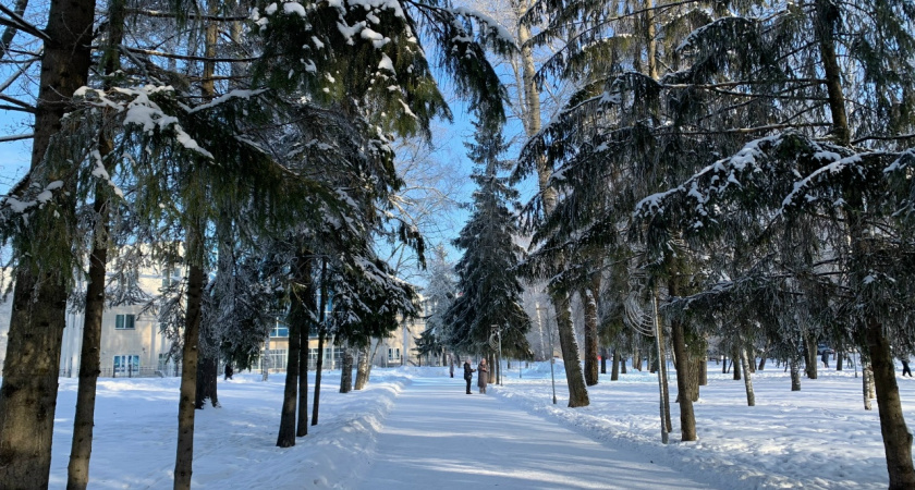 В канун Рождества в Костромской области ударят морозы