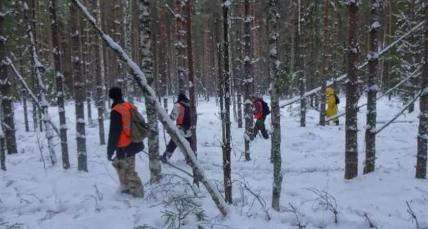 В Костроме пропала 51-летняя женщина в серой куртке