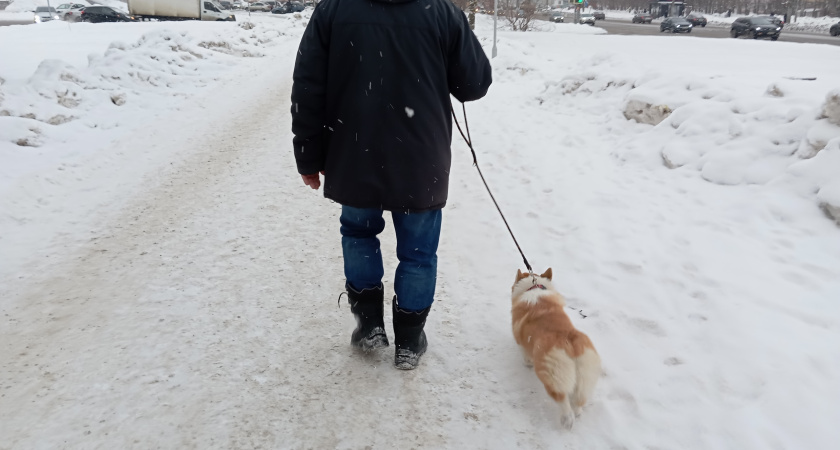 6 причин стать одиноким и жить без друзей: мудрые советы психологов для тех, кому 60-70 лет