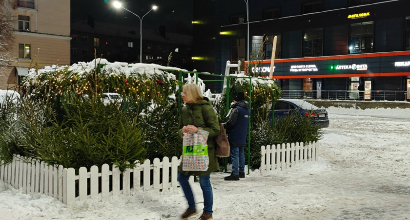 Костромичи могут сдать новогодние ели на переработку