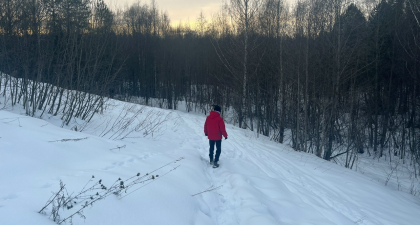 Сугробы до полуметра: циклон "Фрэнсис" завалил снегом Костромскую и Владимирскую области