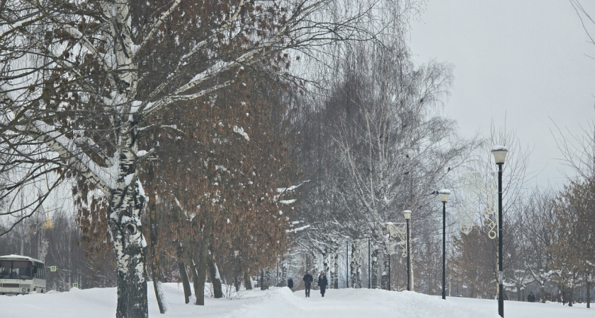 Кострома попала в топ-3 популярных новогодних городов