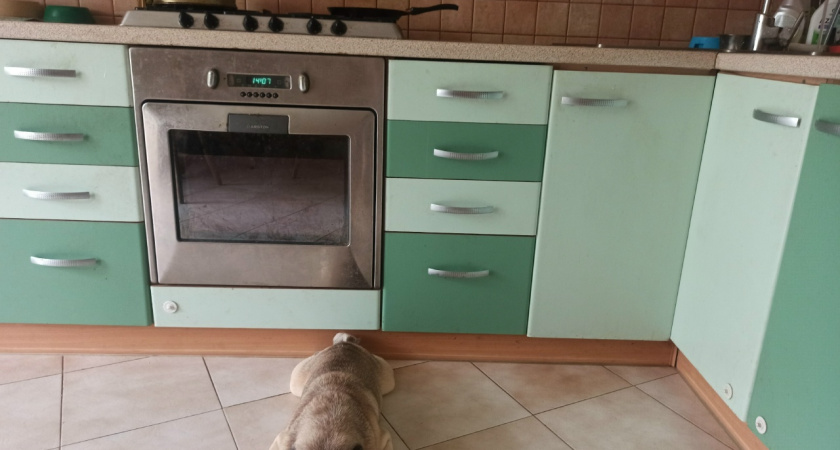 В Костроме построили рекордные 332 тысячи квадратных метров жилья