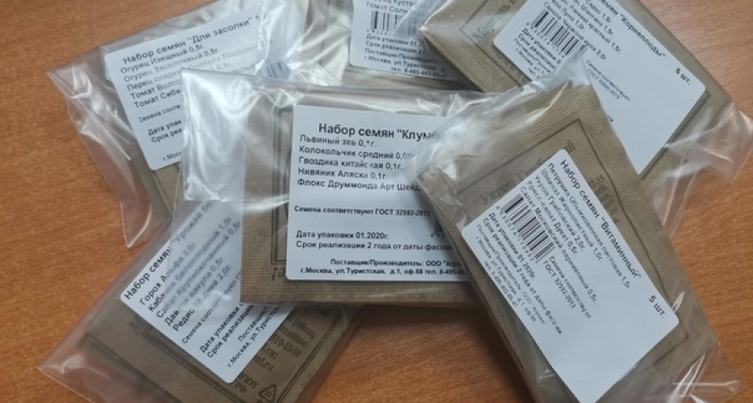 Как сэкономить на семенах и не потерять урожай. Личный опыт: что брать в «Светофоре», а что — в профи-магазине