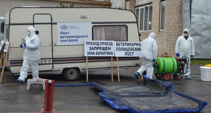 ЧП с ботулизмом в Костроме: есть ли в регионе зараженное мясо