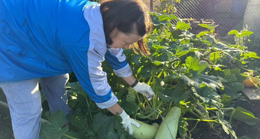 Самые перспективные сорта 2026 года: что стоит попробовать — по отзывам агрономов и садоводов