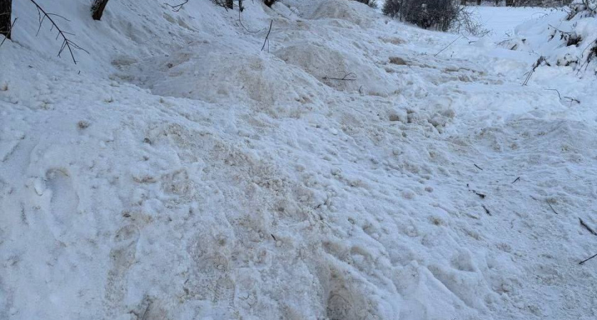 Школьники Костромы пробираются на учебу ползком сквозь сугробы