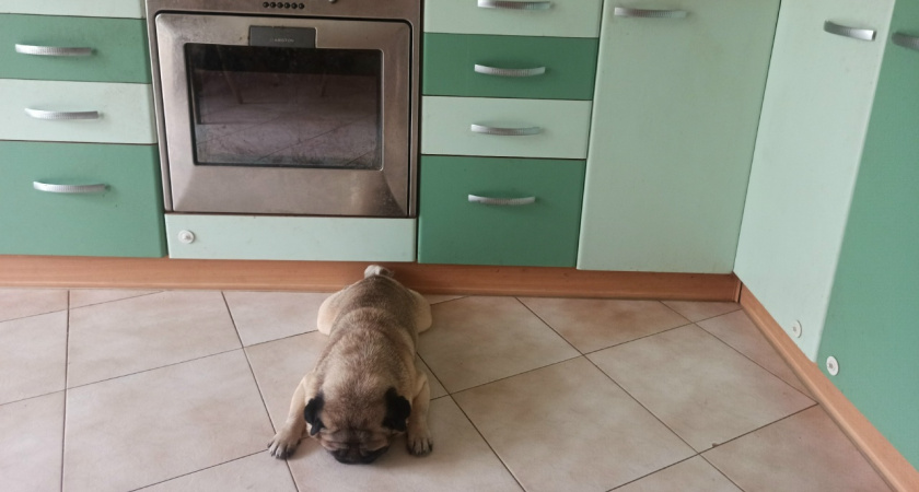 В Костроме продают самые дорогие элитные квартиры