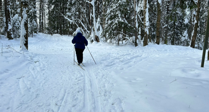Мистический голубой источник в костромской глубинке исполняет желания