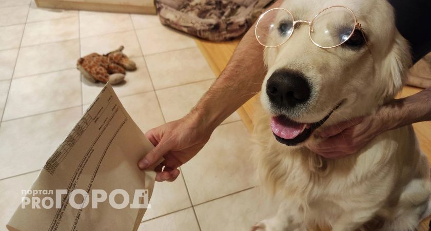  "Вы там топите золотом?": сколько раз костромич сможет оплатить отопление на свою зарплату