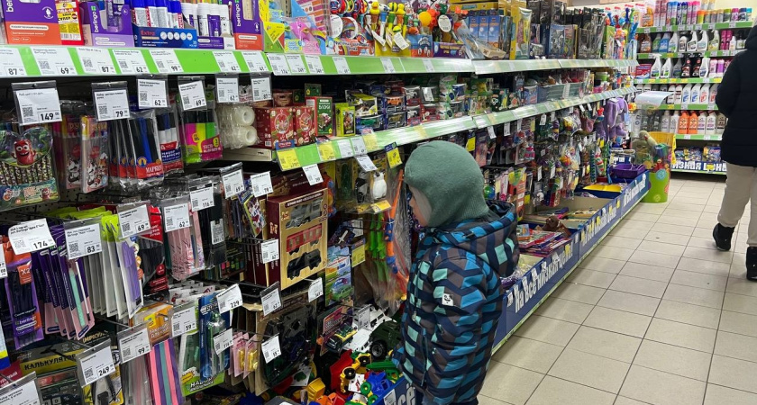 Что купить детям в Fix Price зимой – топ игрушек, которые вы точно унесете с собой из магазина