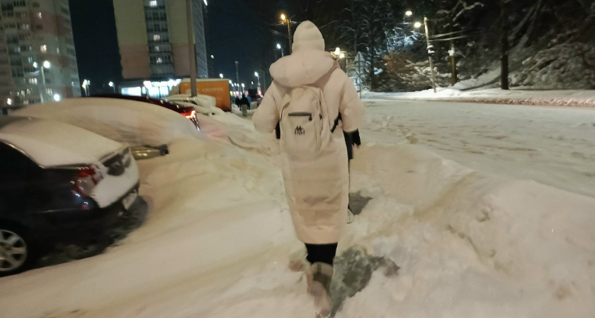 В Костроме микрорайон Жужелино тонет в снегу, пока его никто не хочет чистить