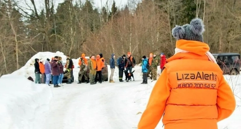 В Костроме бесследно исчезла 13-летняя школьница