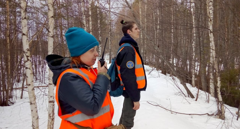 «Душу отдала»: в Костромской области ищут пропавших с помощью БПЛА и нейросетей