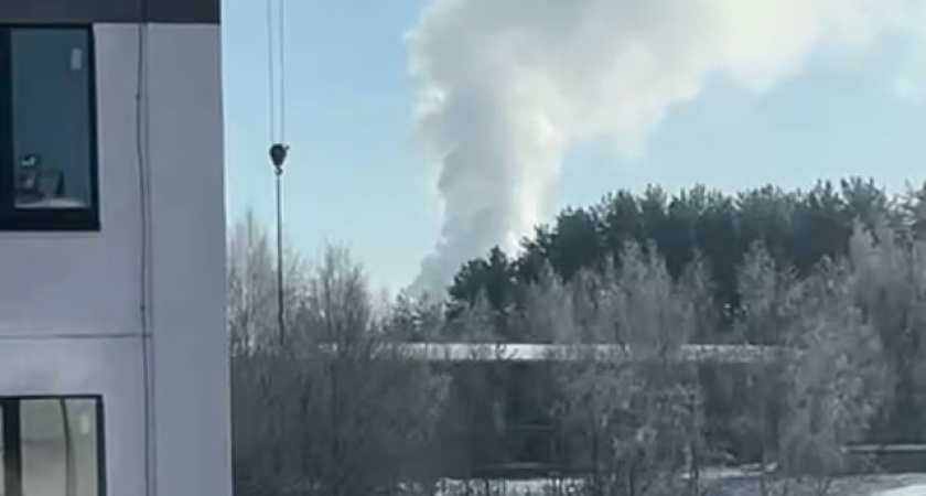 "Жгут безбожно": жители Костромы жалуются на резкий запах химикатов