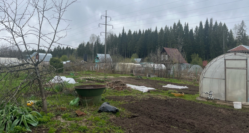 Урожая не ждать? Странная весна-2026 может уничтожить надежды огородников