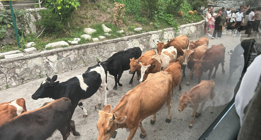 Страна души или страна-заброшка: стоит ли сейчас отдыхать в Абхазии - честный отзыв