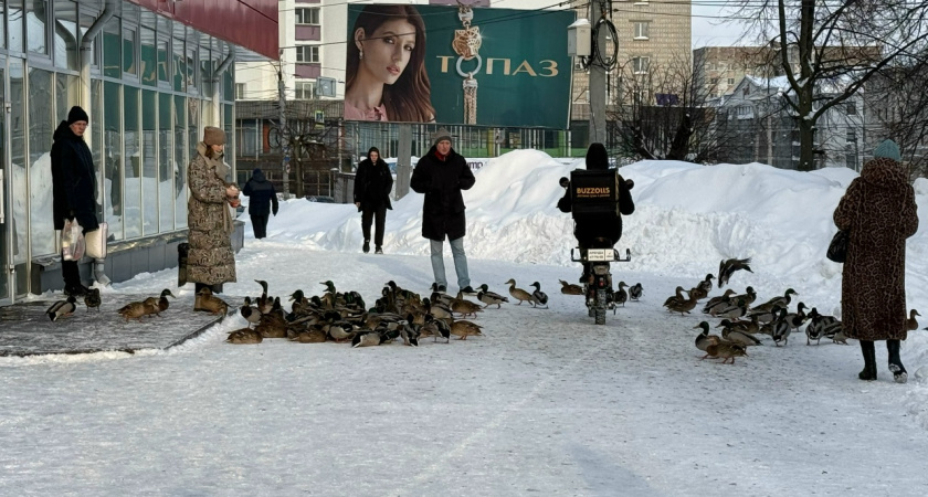 В Костроме погода резко ухудшается и становится опасной