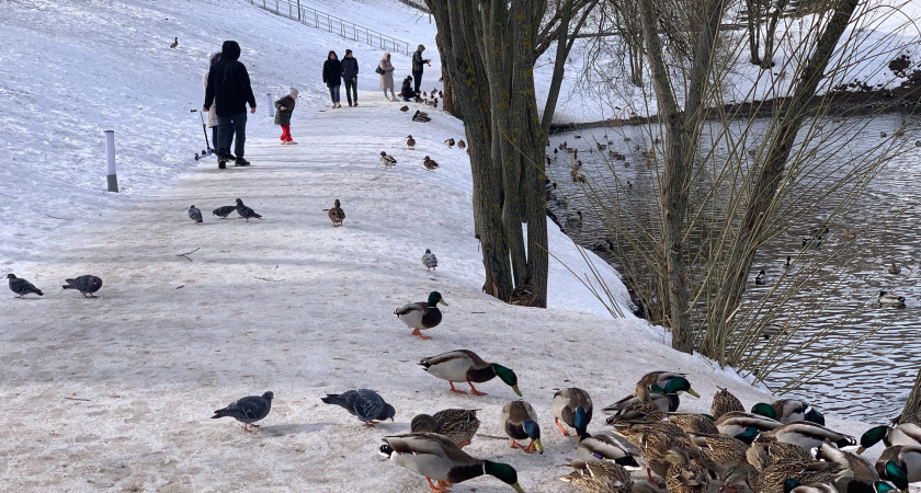 Природный холодильник не подпускает тепло: какой будет весна и чего ждать от лета