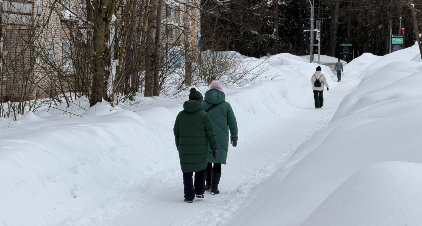 Два арктических вторжения и аномальное тепло ждут Кострому этой весной
