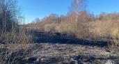 В Костромской области за сутки сгорело больше 5 гектаров травы