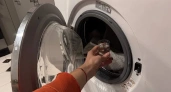 1 рюмку в барабан — и стиральная машина как новая: вся грязь выйдет черными хлопьями