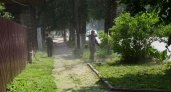 В Костроме подрядчики ускорятся с покосом травы
