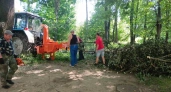 Костромичи смогут забрать себе поваленные деревья