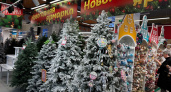 В Костроме открылись четыре точки продажи елок