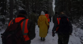 Двое спасенных за три дня: в лесах под Костромой участились случаи пропажи людей