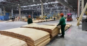 Китай, Индия, Таиланд, Канада и другие страны стали покупателями костромской фанеры