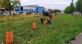 В Костроме высадили молодые клены, липы, туи и сирень