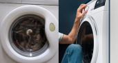 Скрытая кнопка на стиральной машине уменьшает счет за электричество до 62%: есть на каждой модели