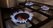 Всех, у кого установлена газовая плита дома, ждет штраф 25 000 рублей: в апреле начнётся масштабная проверка квартир