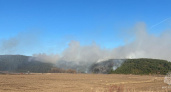 В Костромской области за сутки сгорело 2 гектара травы
