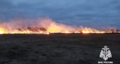 В Костромской области разыскивают поджигателей травы