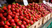 Не ведитесь: вот почему нельзя покупать раннюю клубнику в конце мая и начале июня - рассказывает врач-нутрициолог