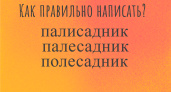Слово простейшее, а позорятся с ним 97% людей — только самые умные смогут выбрать верный вариант