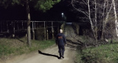Срочные поиски: в Нерехте пенсионер не вернулся из леса